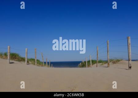 Sandige holländische Dünen mit strahlend blauem Himmel, Zaun und Marrammgras an einem sonnigen Tag in der Nähe von Bloemendaal Stockfoto