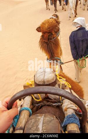 Blick von der Seite des Reiters auf einem zweibemannten Kamel und einem Führer, Sahara Wüste, Tunesien. Vor uns ist eine Gruppe von Kamelen Stockfoto