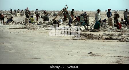 Indigene, ethnische Afar-Salzbergarbeiter, die in den Danakil-Salzebenen, Afar-Region, Äthiopien arbeiten. Stockfoto