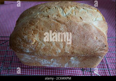 Frisch gebackenes Bauernbrot mit Sesamsamen auf einem Drahtkühlgestell Stockfoto