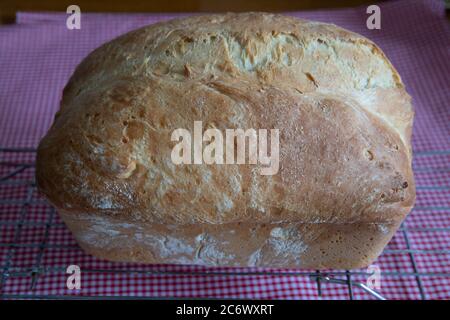 Frisch gebackenes Bauernbrot mit Sesamsamen auf einem Drahtkühlgestell Stockfoto