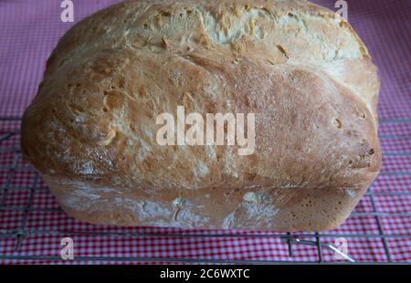 Frisch gebackenes Bauernbrot mit Sesamsamen auf einem Drahtkühlgestell Stockfoto