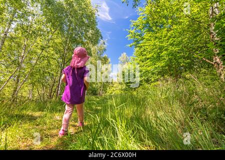 Kleines Kind Wandern durch den schönen grünen Wald im Sommer Stockfoto