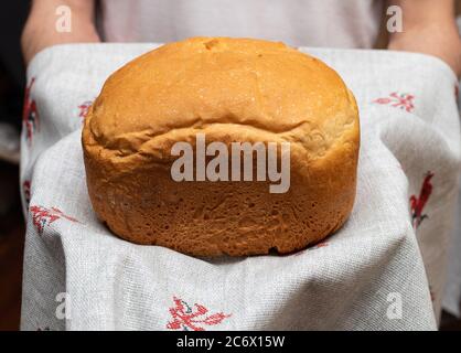 Cook gebackenes frisches Weizenbrot, in seinen Händen auf einem Leinentuch halten Stockfoto