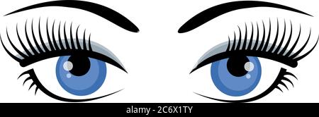 Schöne eisblaue weibliche Augen mit Wimpern, Augenbrauen und grauen Schatten isoliert auf weißem Hintergrund. Flaches Logo oder Icon-Design. Cartoon-Augen Stock Vektor