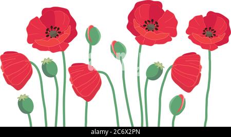 Sommer Rahmen Grenze mit niedlichen bunten roten Feld Mohn Blumen ich Stock Vektor