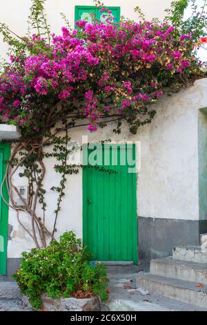 Traditionelles Haus in Sigri Dorf, Insel Lesvos. Farbige Türen und bunte Pflanzen sind überall in den traditionellen Dörfern von Lesvos zu sehen. Stockfoto