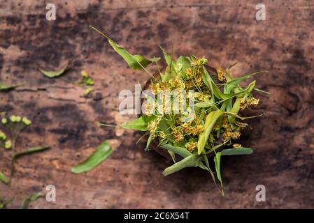 Getrocknete Linden Blumen und Blätter in einer Holzschale Draufsicht Stockfoto