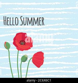 Hallo Sommer Text mit niedlichen bunten roten Feld Mohn Blumen Ein Stock Vektor