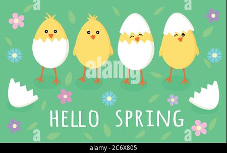 Frühling Grußkarte mit vier niedlichen kleinen gelben Küken in geknackten Eiern, Eierschale, Blumen und Blätter mit Zeichen Hallo Frühling, Vektor eps10 Grafik. Stock Vektor