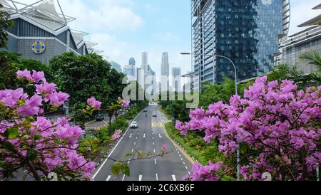 Singapur ist als Gartenstadt bekannt Stockfoto