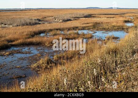 Plum Island ist eine Barriere-Insel vor der Nordostküste von Massachusetts. Das Parker River National Wildlife Refuge ist hier. Es sorgt für Fütterung, Ruhe Stockfoto