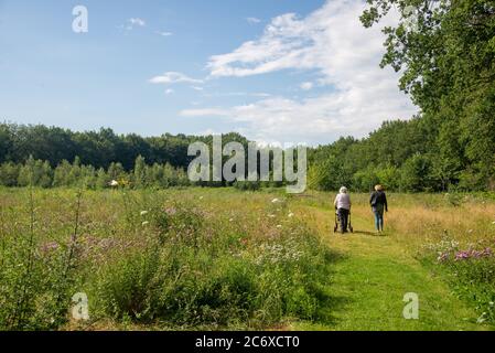 Mutter und Tochter wlten durch den Park mit wilden Blumen in Gelderland, Holland Stockfoto