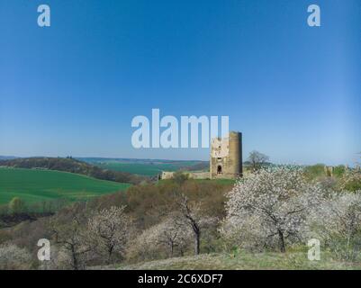 Ruine der Burg Arnstein, einer mittelalterlichen Festung im südlichen Teil des Harzes im Kreis Mansfeld, Sachsen-Anhalt, Deutschland. Stockfoto