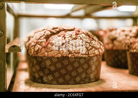 Backen Sie eine Gruppe von Panettone italienischen weihnachten süßen Kuchen in profi-Backofen Stockfoto