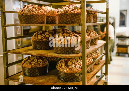 Backen Sie eine Gruppe von Panettone italienischen weihnachten süßen Kuchen in profi-Backofen Stockfoto