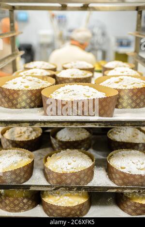Backen Sie eine Gruppe von Panettone italienischen weihnachten süßen Kuchen in profi-Backofen Stockfoto