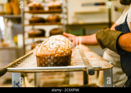 Backen Sie eine Gruppe von Panettone italienischen weihnachten süßen Kuchen in profi-Backofen Stockfoto
