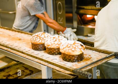 Backen Sie eine Gruppe von Panettone italienischen weihnachten süßen Kuchen in profi-Backofen Stockfoto