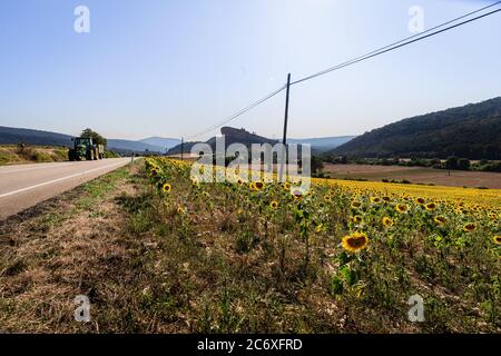 Tractir in der Nähe eines Sonnenblumenfeldes in der kleinen Stadt Von San Pant Stockfoto
