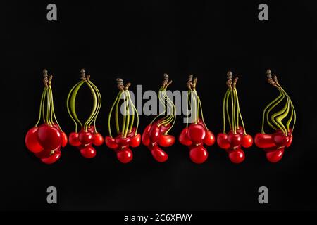 Rote schöne Kirschen umarmen ihre verschiedenen Arten von Körper-Typen Stockfoto