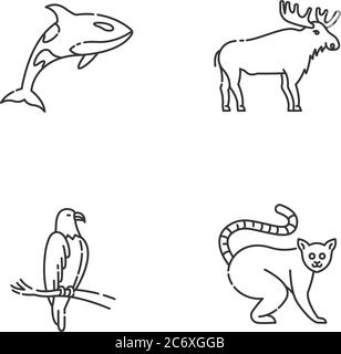 Verschiedene Tierarten Pixel perfekte lineare Symbole gesetzt. Killerwal, exotischer Lemur, Adler und Elch anpassbare dünne Linie Kontur Symbole. Isolierte Ve Stock Vektor