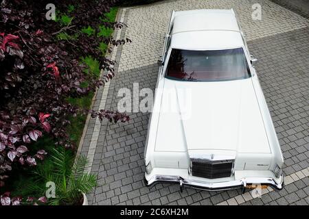 Lincoln Continental II,Lincoln Continental II, Auto, vinitage, alt, Wixom, usa, amerikanisch, alt, antique, Auto, Automobil, Luxusauto, Lebensstil, Stockfoto