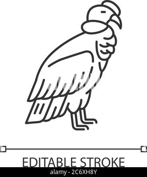 Kondor Pixel Perfect Linear Icon. Raubvogel. Zoologie, Ornithologie dünne Linie anpassbare Illustration. Kontursymbol. Andenkondor Vektor isola Stock Vektor