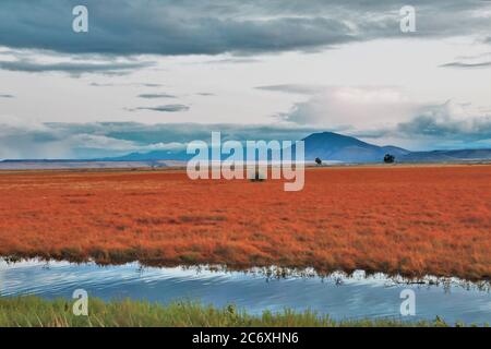 Der südlichste Teil der Klamath Lake march Area im Süden von Oregon, in der Millionen von wilden und Zugvögeln leben Stockfoto