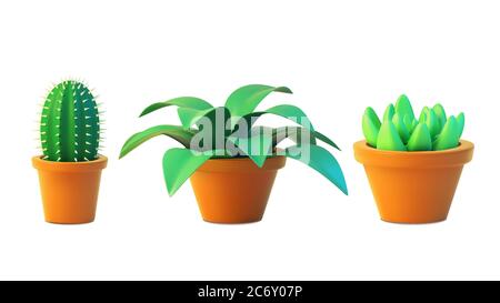 Vektor-Set Hauspflanzen Kaktus und Sukkulente in Topf, realistische Baum Vorderansicht. 3D-Illustration grün von Innenanlage isoliert auf weißem Hintergrund Stock Vektor