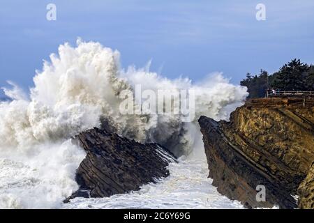 Shore Acres State Park, Coos Bay ODER USA Stockfoto