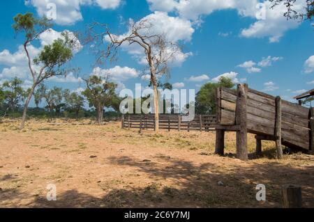 Alte rustikale Rinderladerampe auf einem Bauernhof in Paraguay Stockfoto