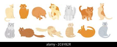 CAT-Zeichensatz. Niedliche flache Cartoon-Design-Set. Verschiedene Katzenrassen, Tierfiguren. Lustige Katzen sitzen, schlafen. Verschiedene Farben, Streifen Flecken. Handgezeichnete isolierte Vektordarstellung Stock Vektor