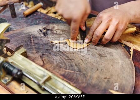 Nahaufnahme der Hände machen Zigarre aus Tabakblättern. Traditionelle Herstellung von Zigarren. Dominikanische Republik Stockfoto