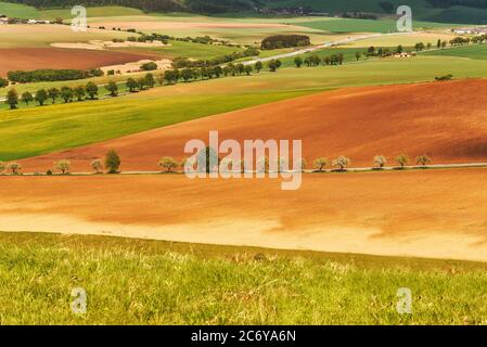 Landwirtschaftliche schwarze und grüne Felder Luftbild. Horizontale Ansicht in Perspektive. Reihen von Erde vor dem Pflanzen. Zeilenmuster in einem gepflügten Feld. Stockfoto