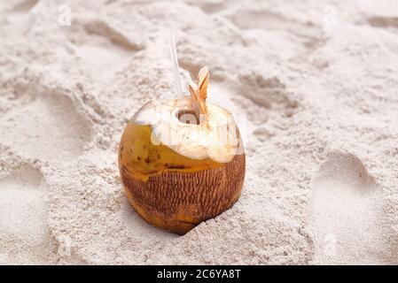 Frische Kokosnuss am Strand mit Stroh für Getränk bereit. Tropischer Urlaub. Travel Concept. Stockfoto