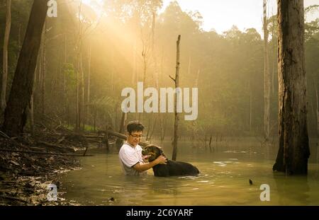 Mann mit seinem rottweiler Hund im See mit schönen Morgen Sonnenstrahl. Konzept der Bondzeit. Stockfoto