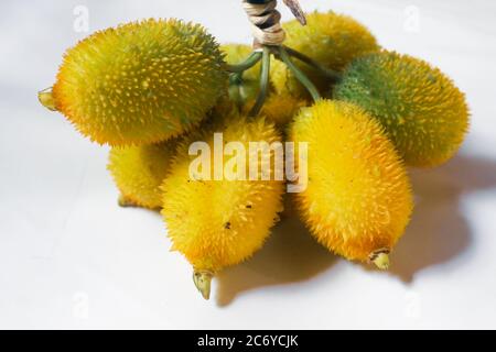 Stachelige Kürbisse auf weißer Oberfläche, frisches Gemüse für gute Gesundheit, neues Stockbild. Stockfoto