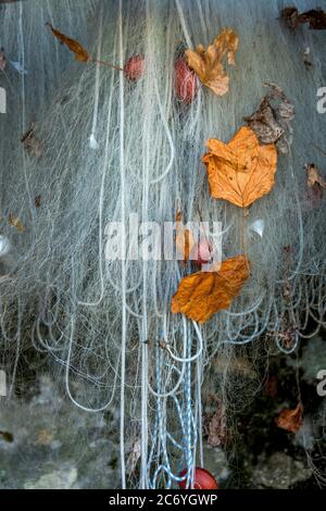 Fischernetze im Hafen von Yvoire, Genfersee, Haute Savoie, Auvergne-Rhone-Alpes, Frankreich Stockfoto