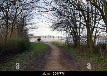 Ein Weg zum See vom Erholungsgebiet Geestmerambacht in der Nähe der niederländischen Stadt Alkmaar. Niederlande, Februar Stockfoto