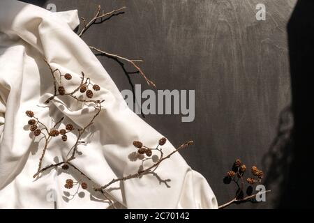 Draufsicht auf trockener Ast-Erle auf weißem Textil-Hintergrund. Schwarzer Holzhintergrund für Text. Flach liegend. Minimaler Sommer- oder Herbstkonzept mit Baumblatt. Stockfoto