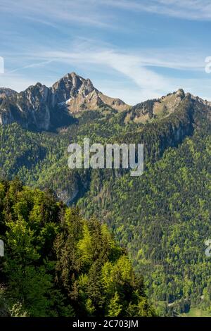 Mont Billiat, Col de Trechauffe. Geopark Chablais UNESCO und Blick auf Abondance Tal, Haute Savoie, Auvergne Rhone Alpes, Frankreich Stockfoto