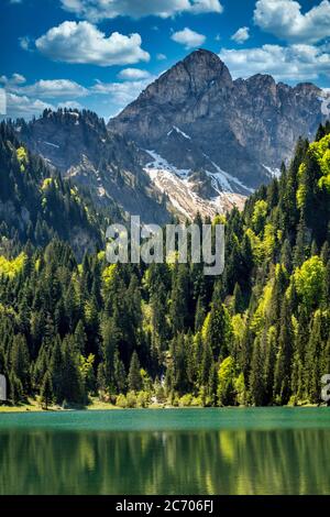 Der See von Plagnes. Chablais. Französische alpen. Haute-Savoie. Auvergne-Rhone-Alpes. Frankreich Stockfoto