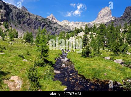 Gebirgsbach im Caïres de la Cougourde im Nationalpark Mercantour, in der Haute Vésubie in Frankreich Stockfoto