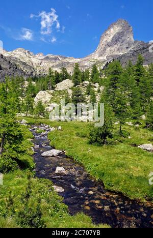 Gebirgsbach im Caïres de la Cougourde im Nationalpark Mercantour, in der Haute Vésubie in Frankreich Stockfoto