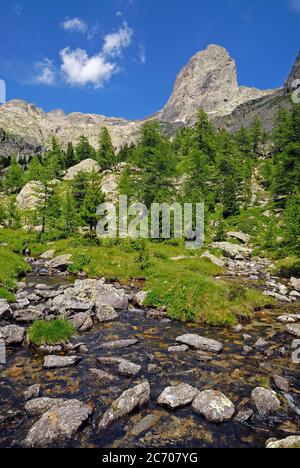 Gebirgsbach im Caïres de la Cougourde im Nationalpark Mercantour, in der Haute Vésubie in Frankreich Stockfoto