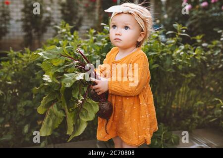 Kind Mädchen mit Rüben frisch aus dem Garten gepflückt gesunde Ernährung Bio-Gemüse selbst angebaut Ernte Landwirtschaft Konzept Stockfoto