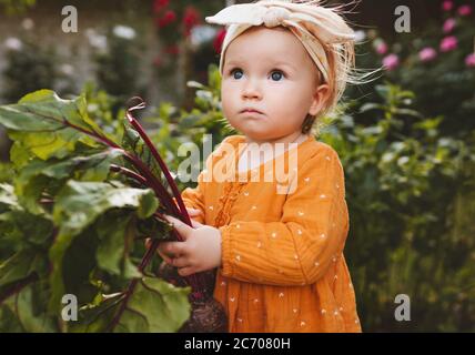 Baby Mädchen halten rote Bete gesund Lebensstil Bio vegane Lebensmittel Essen Gemüse Kind im Garten selbst angebaut Pflanze basierte Ernährung Stockfoto