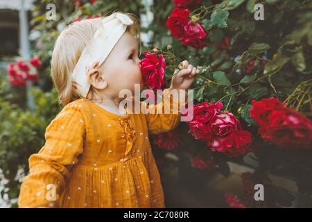 Kind Mädchen riechende Blumen rote Rosen im Garten Kindheit Baby Sommer Lifestyle Aromatherapie Harmonie mit der Natur Stockfoto
