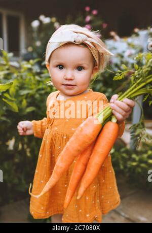 Kind hält Karotten im Garten gesunde Ernährung Lifestyle vegan Bio-Gemüse Eigenbau Landwirtschaft Konzept Stockfoto